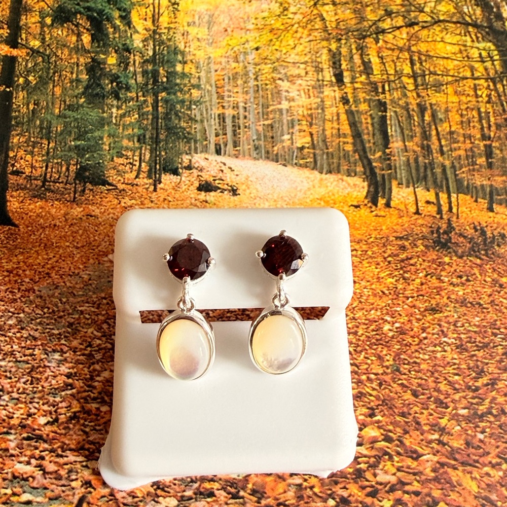 Chic Silver and Red Gemstone Earrings